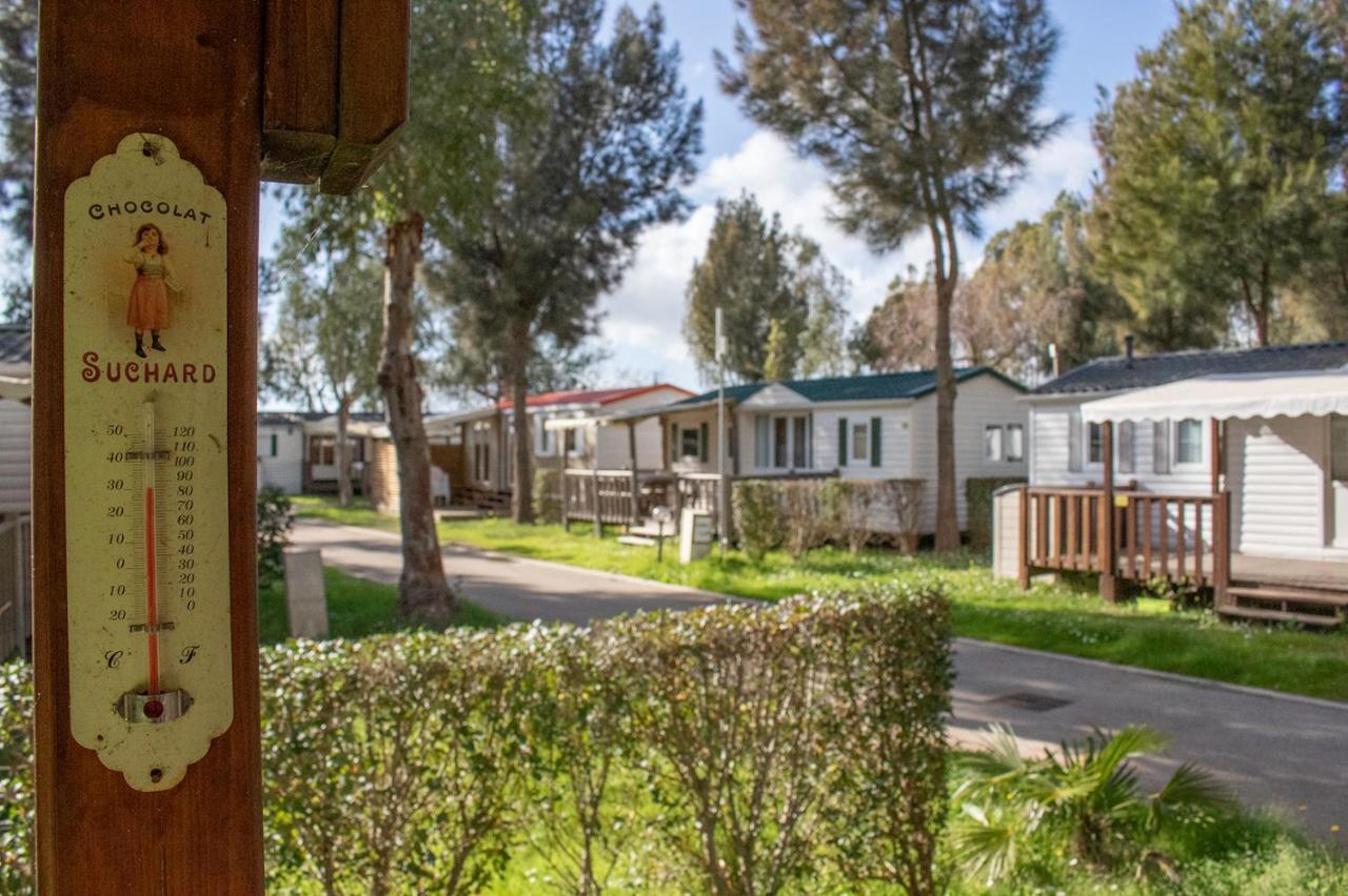 Mobilhome * Hyeres